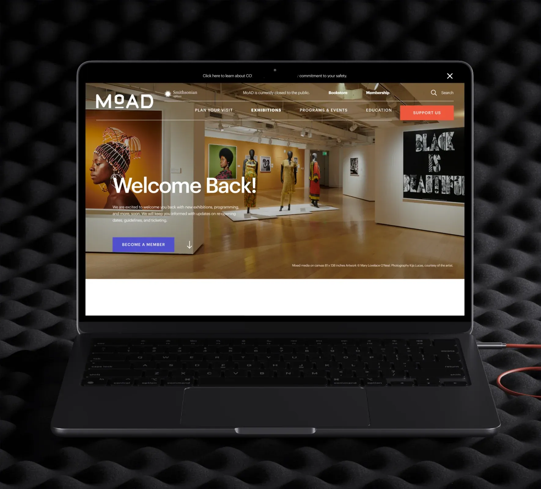 MoAD website design and development by 5Four Digital, image 1 of 12
