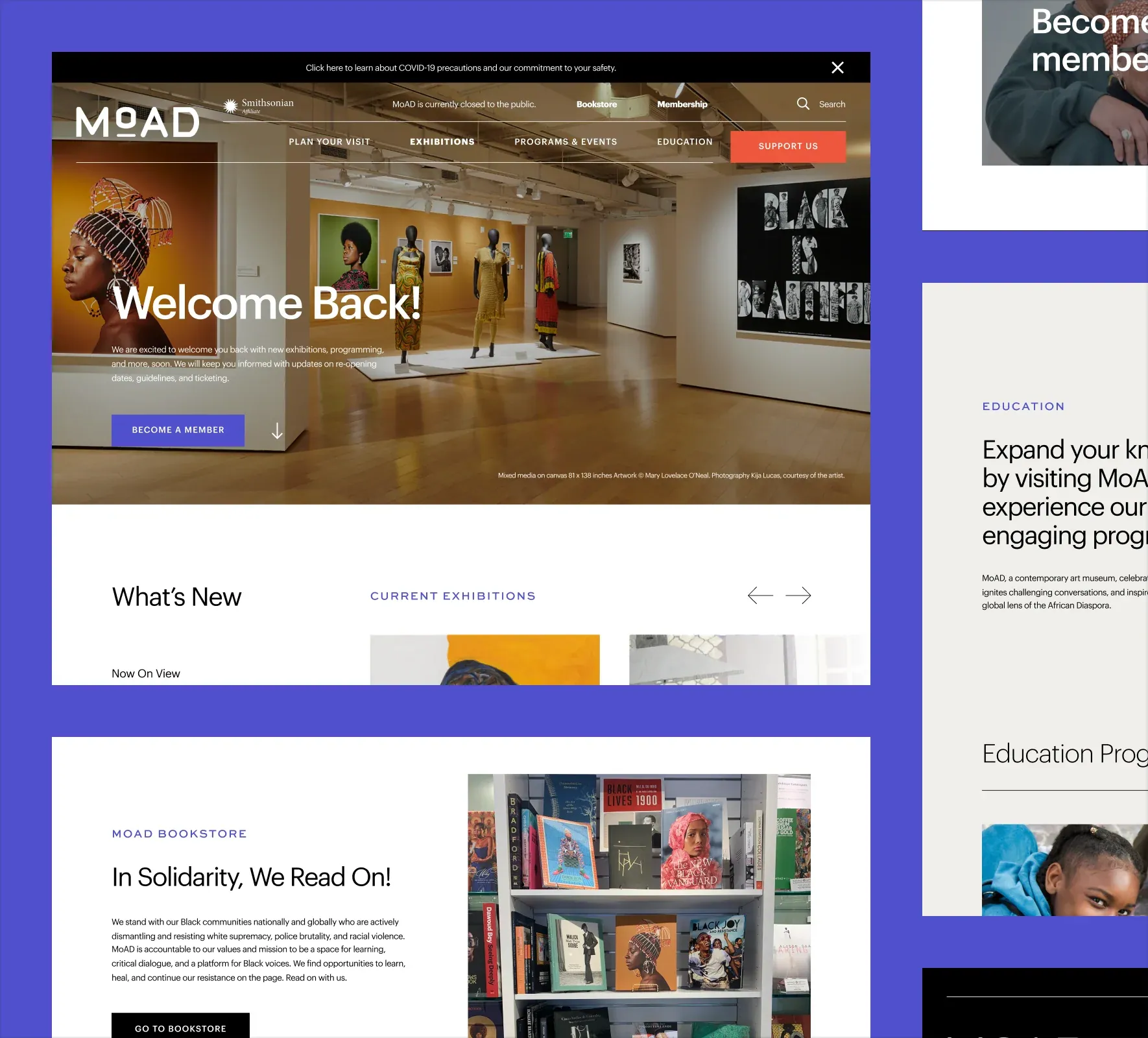 MoAD website design and development by 5Four Digital, image 5 of 12