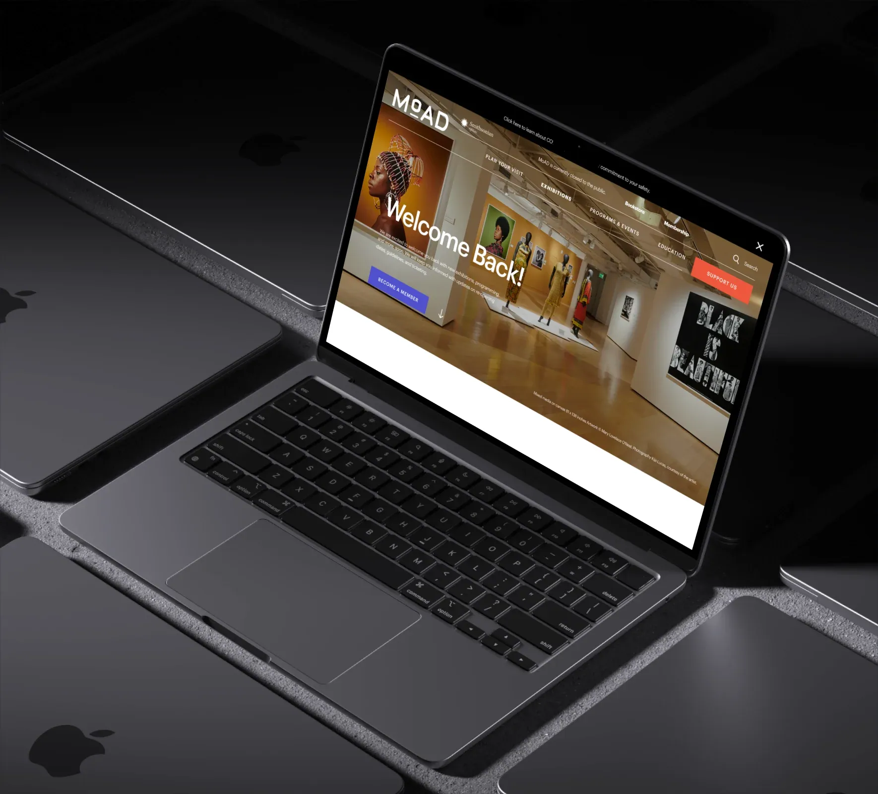 MoAD website design and development by 5Four Digital, image 7 of 12