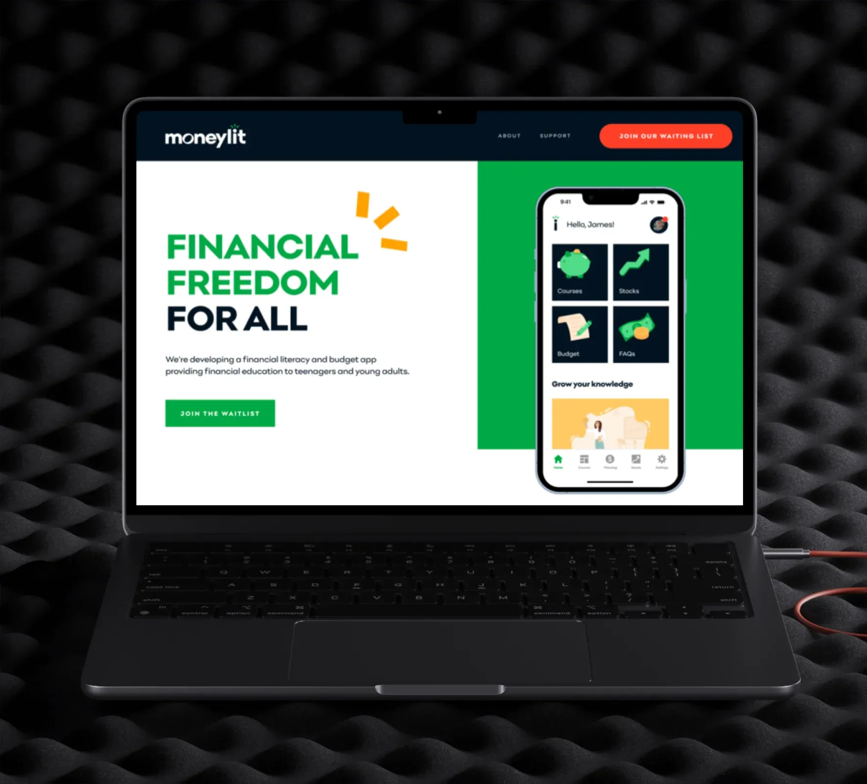 Moneylit brand identity and website design by 5Four Digital, image 1 of 12