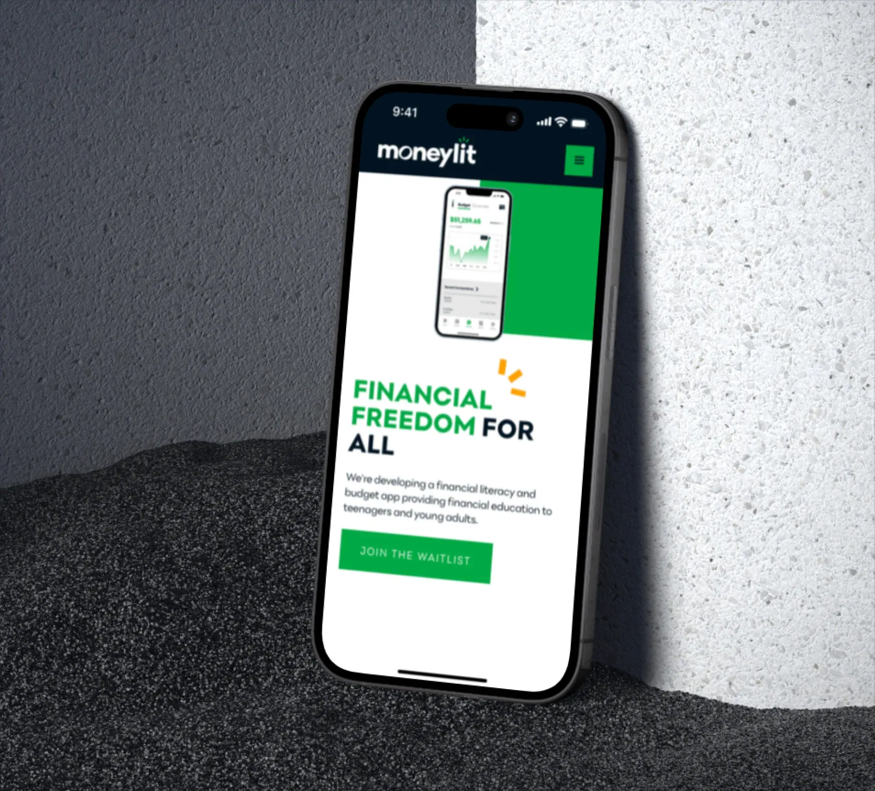 Moneylit brand identity and website design by 5Four Digital, image 6 of 12