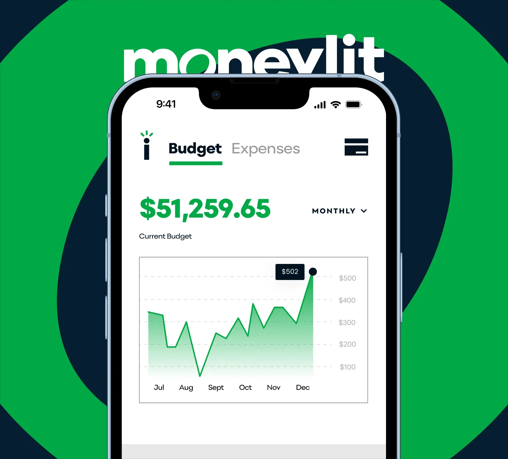Moneylit brand identity and website design by 5Four Digital, image 9 of 12