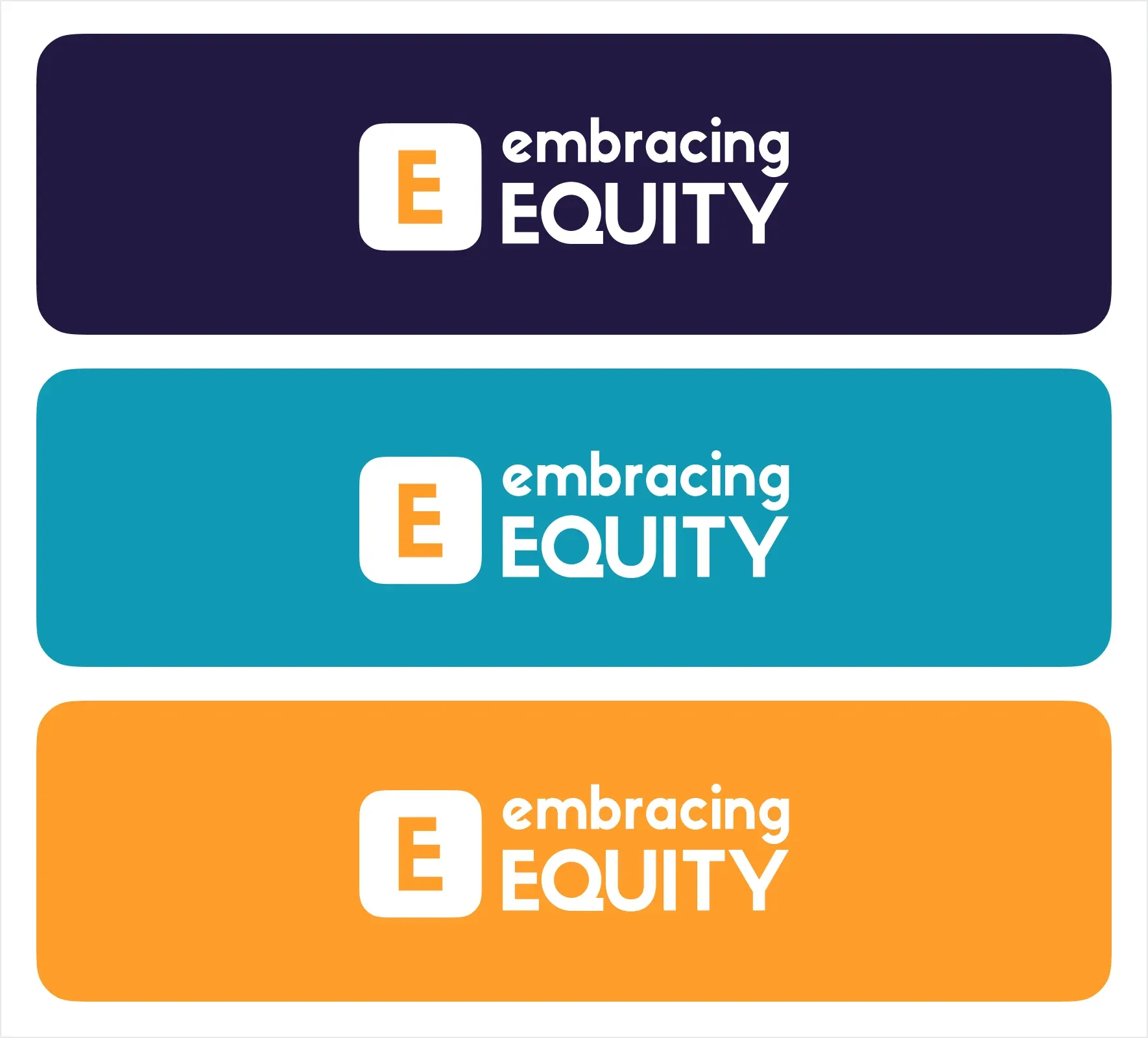 Embracing Equity brand identity and website design by 5Four Digital, image 4 of 12
