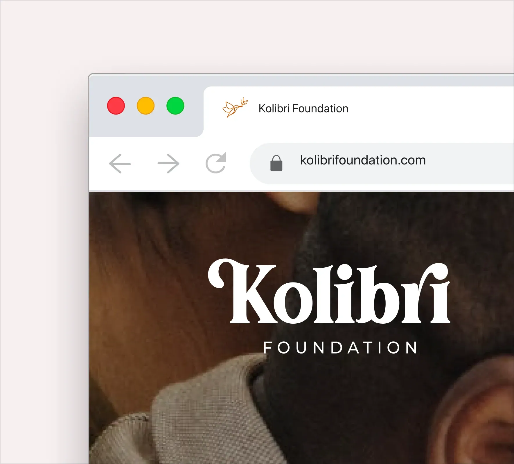 Kolibri brand identity and website design by 5Four Digital, image 4 of 12
