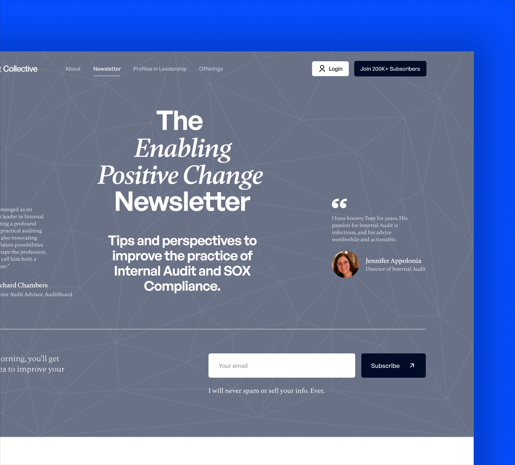 Internal Audit Collective brand identity and website design by 5Four Digital, image 11 of 12