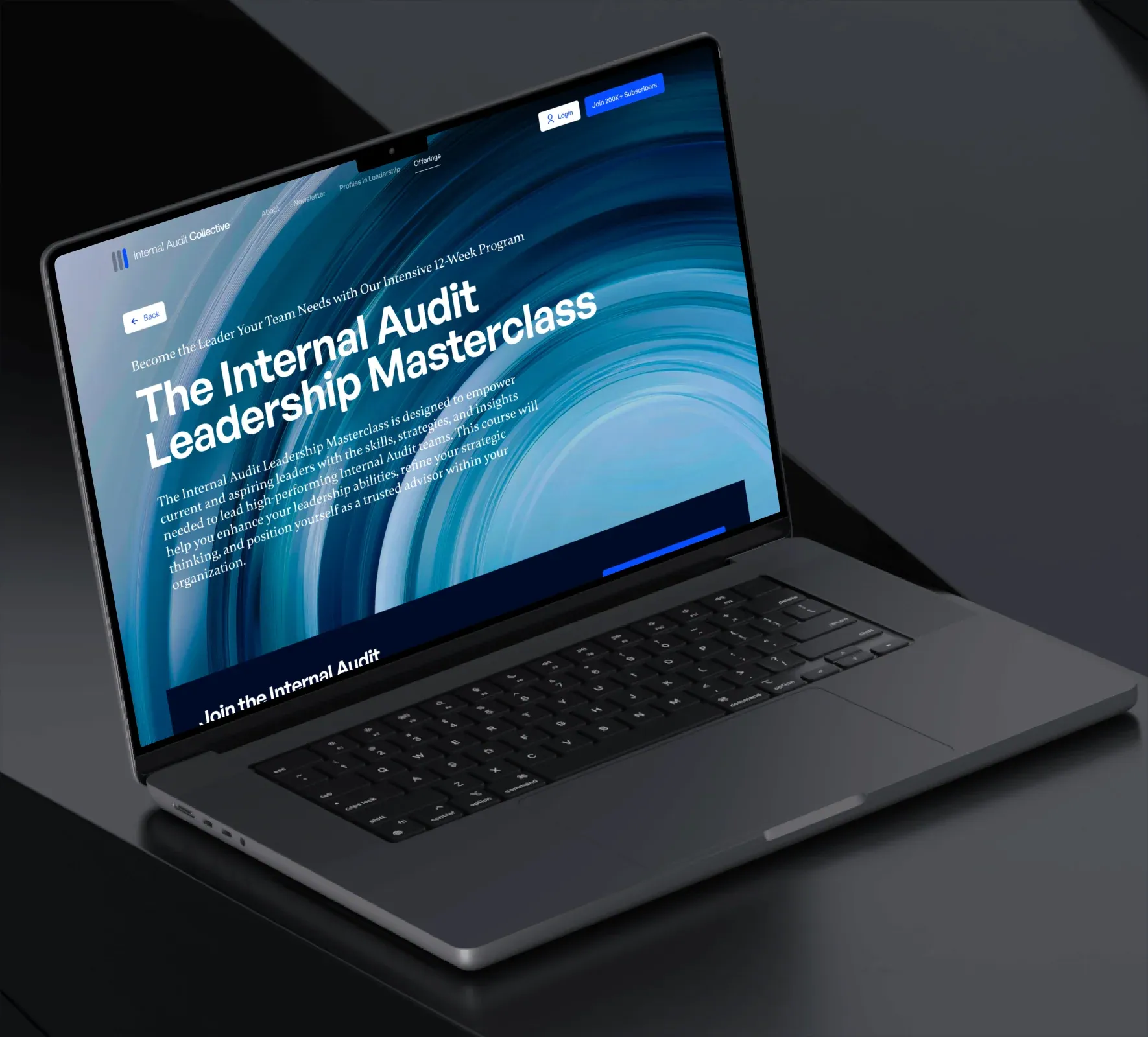 Internal Audit Collective brand identity and website design by 5Four Digital, image 9 of 12
