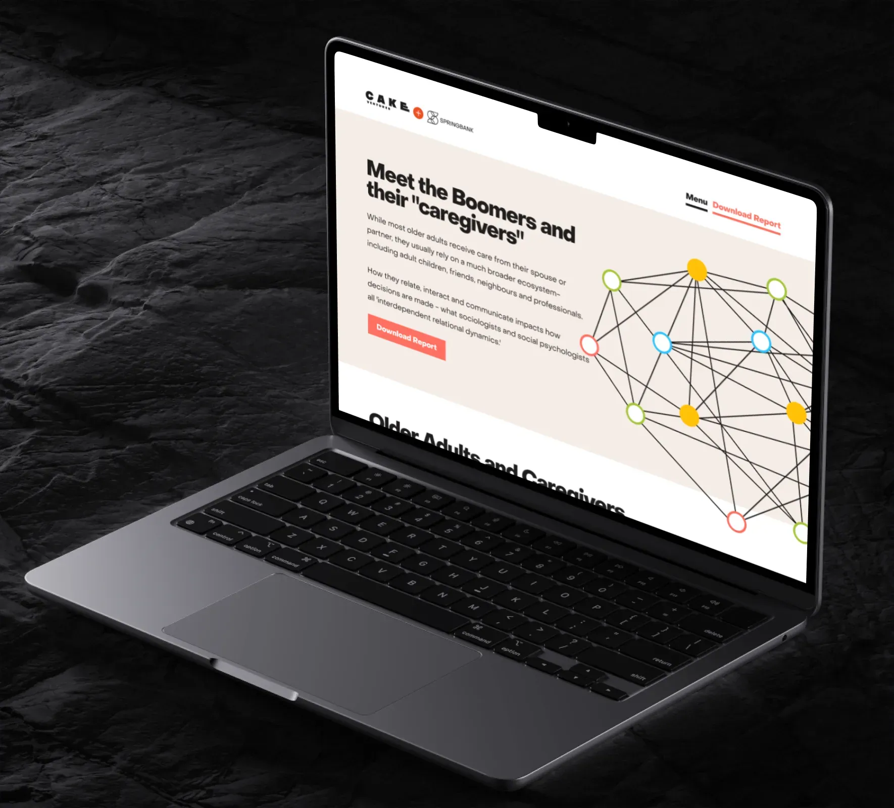 Cake Ventures | Springbank website design and development by 5Four Digital, image 5 of 12