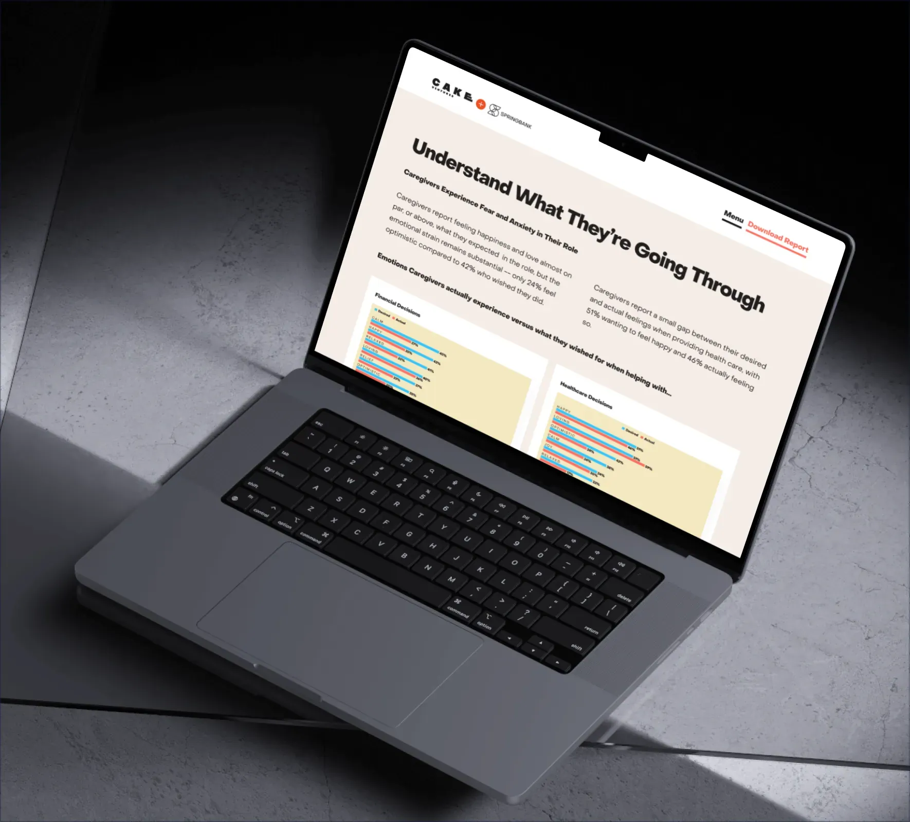 Cake Ventures | Springbank website design and development by 5Four Digital, image 11 of 12