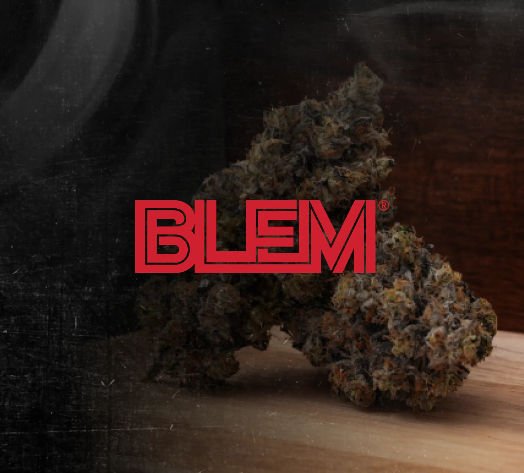 BLEM work sample 1