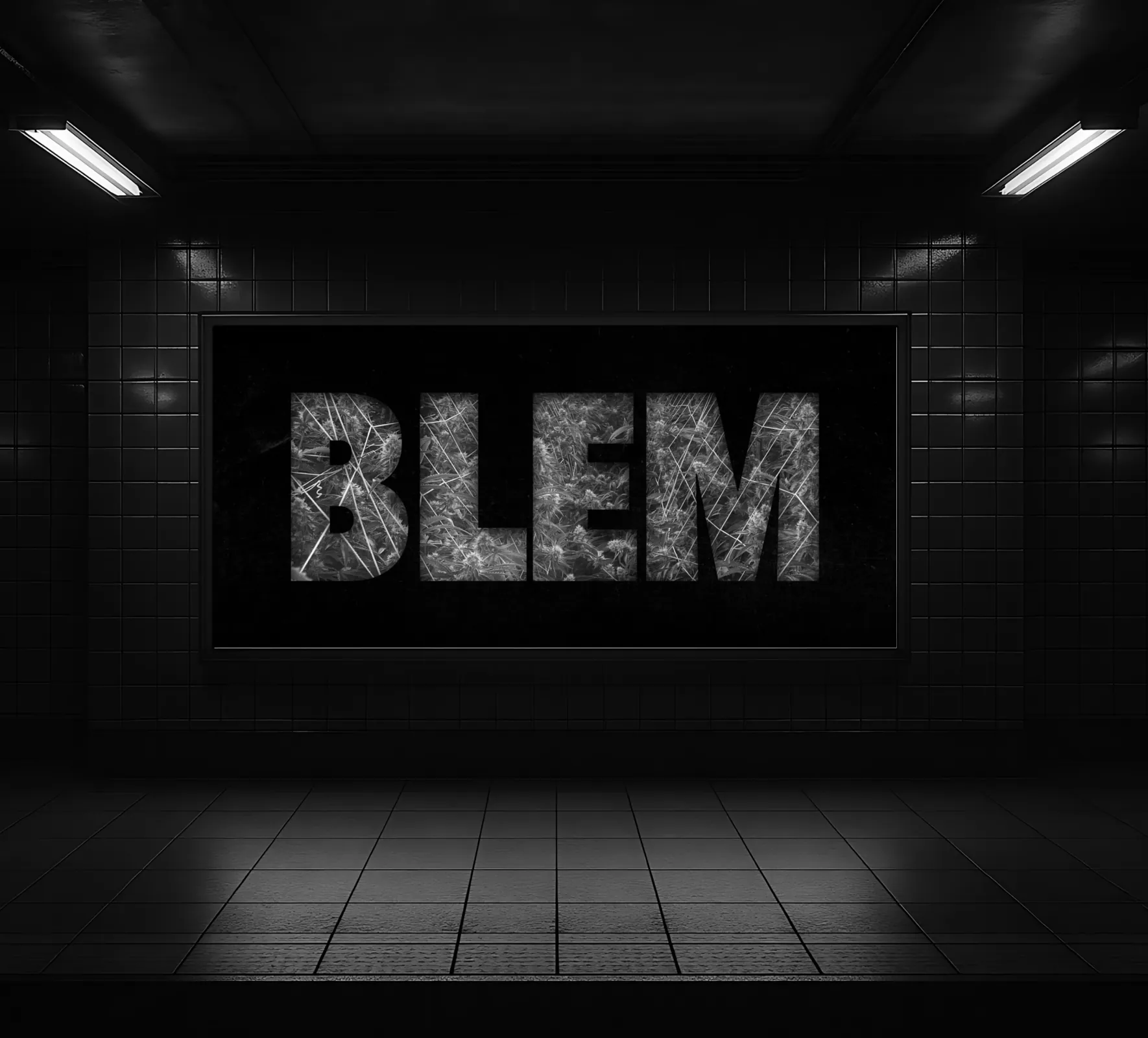 BLEM work sample 8