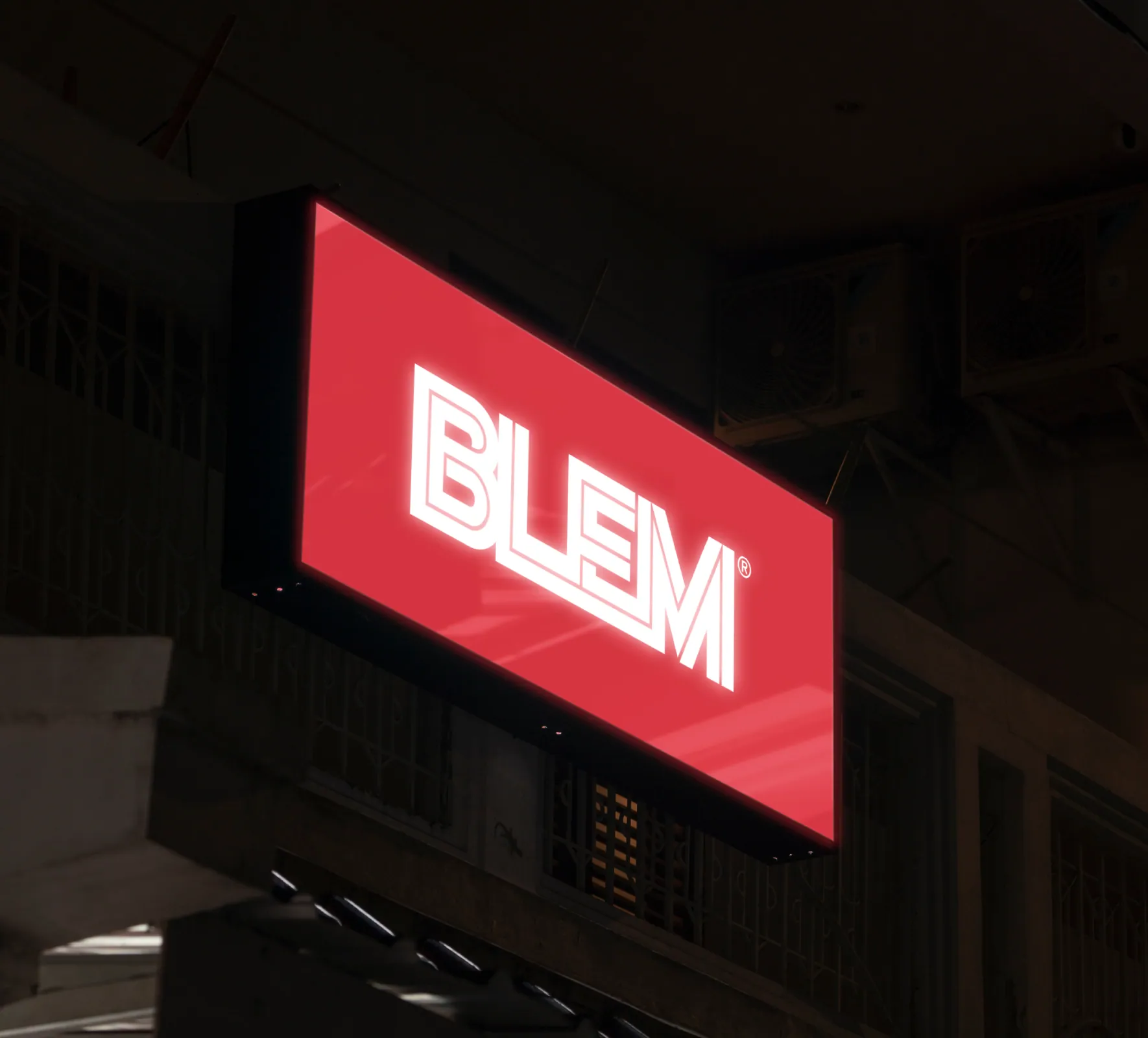 BLEM work sample 10