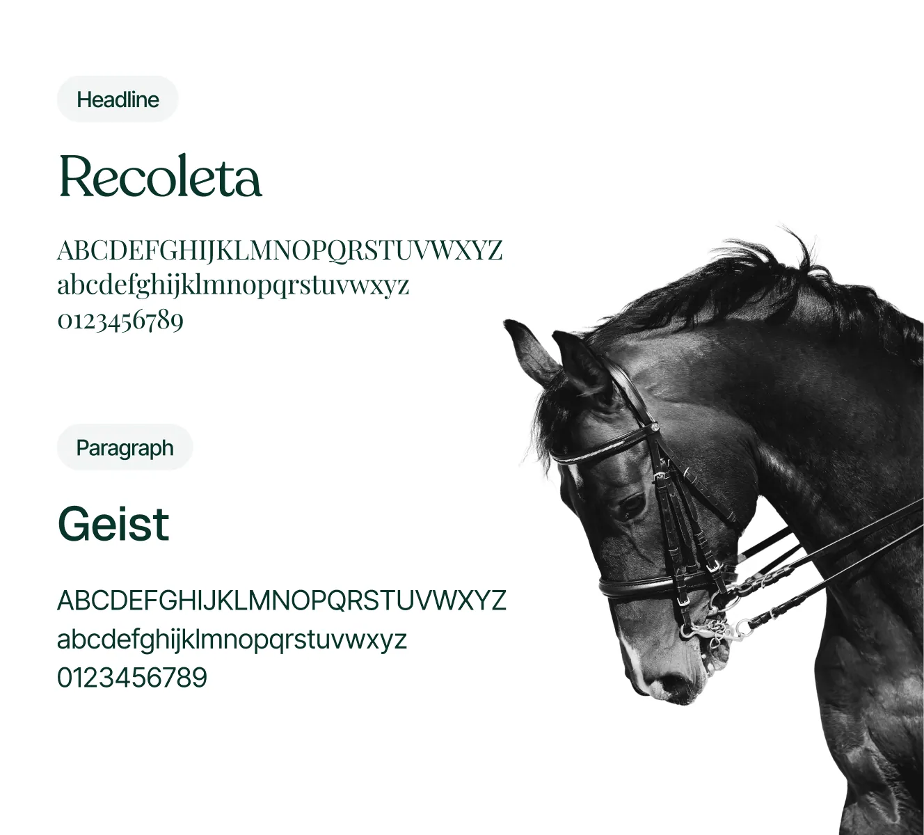 Florida Horsemen’s Benevolent & Protective Association work sample 3