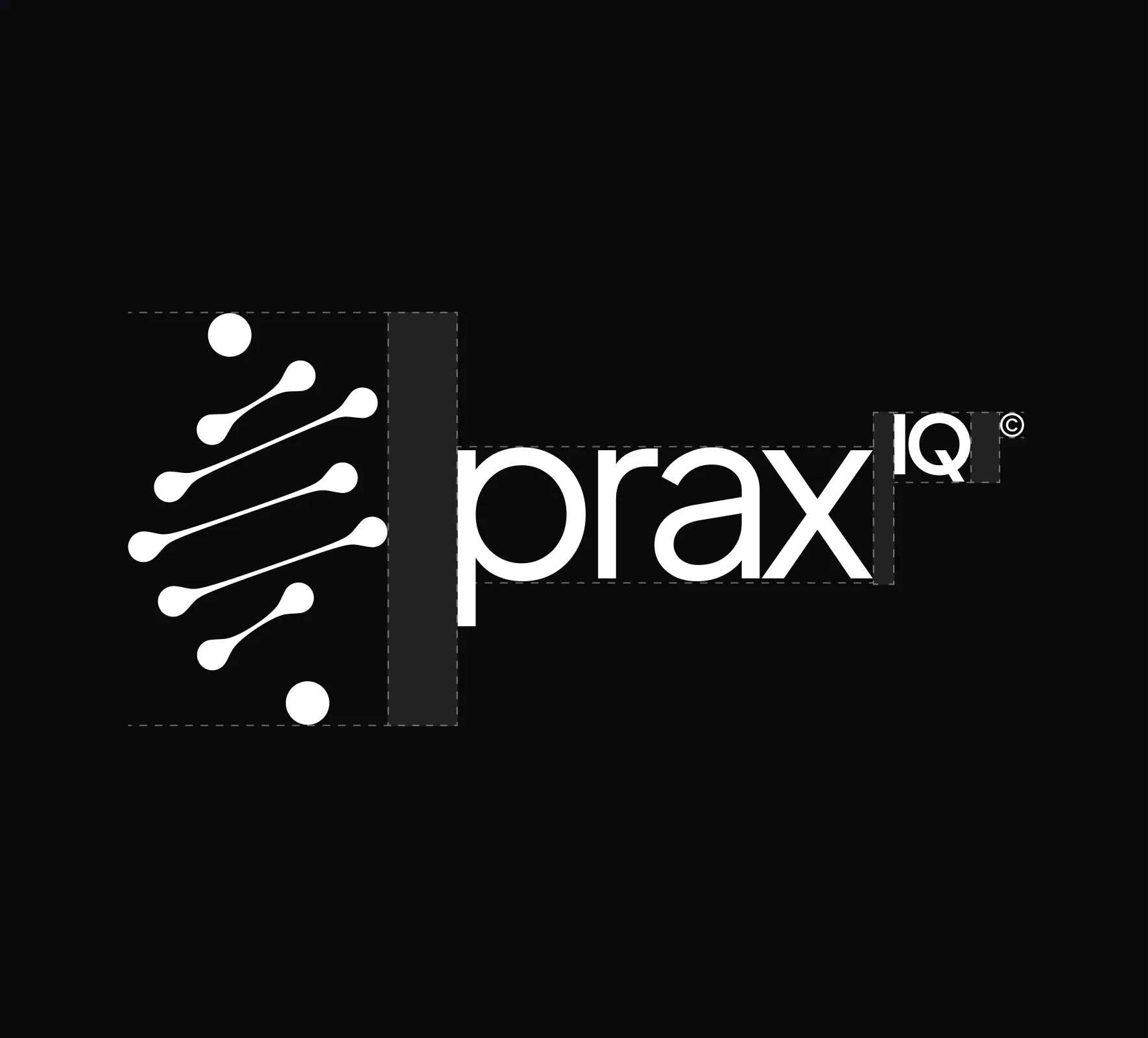 PraxIQ brand identity design by 5Four Digital, image 12 of 12