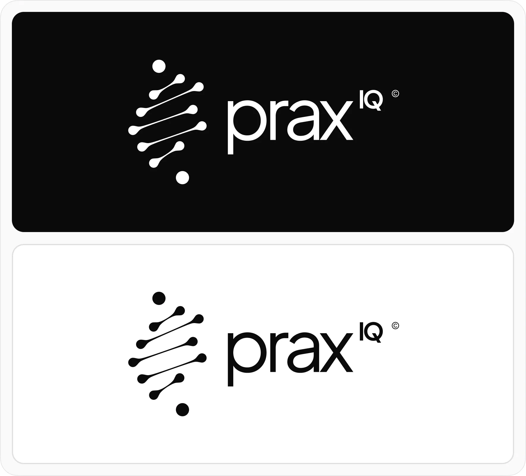 PraxIQ brand identity design by 5Four Digital, image 2 of 12