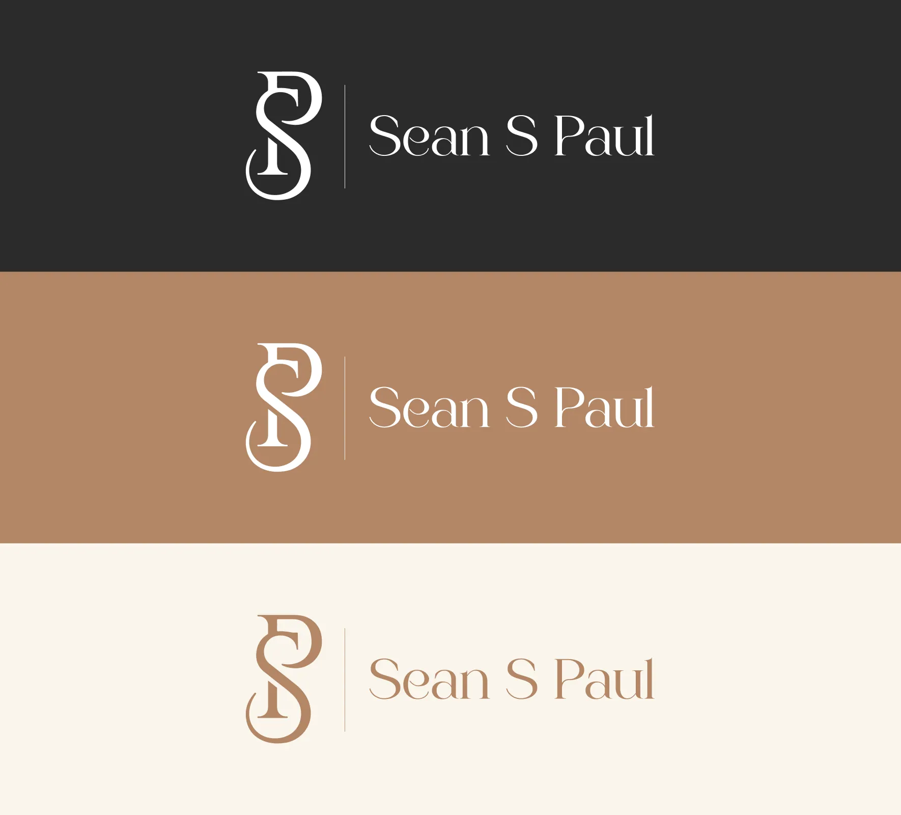 Sean S Paul brand identity and website design by 5Four Digital, image 4 of 12